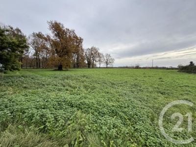 Tizac De Lapouyade, Aquitaine 33620, France