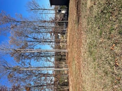 Lot 95 Forest Ridge Drive, Paducah, Kentucky 42003, Estados Unidos