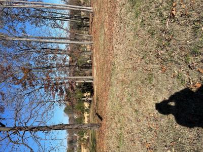 Lot 95 Forest Ridge Drive, Paducah, Kentucky 42003, Estados Unidos