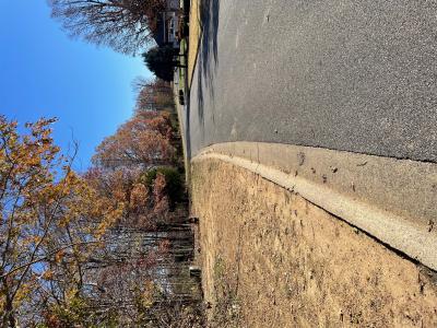 Lot 83 Forest Ridge Drive, Paducah, Kentucky 42003, Estados Unidos