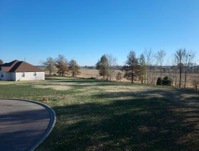 2610-2608 Nettle St, Union City, Tennessee 38261, USA