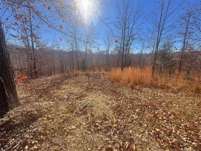 463628 Sanders Ridge Road, Proctor, 奧克拉荷馬州 74457, 美國