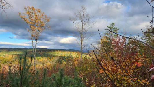 00 Route 302, Newbury, Vermont 05051, USA