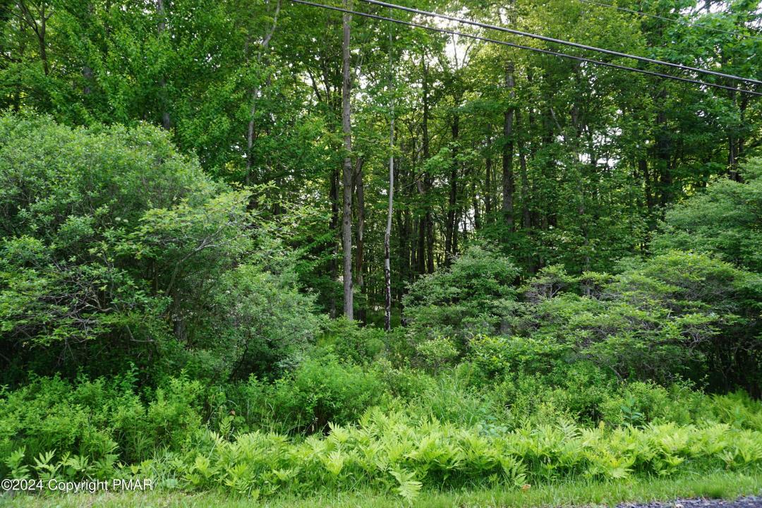 Wagner Way, Pocono Lake, Пенсильвания 18347, Соединенные Штаты
