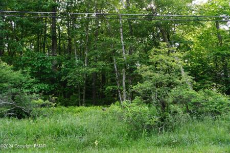 Wagner Way, Pocono Lake, Пенсильвания 18347, Соединенные Штаты