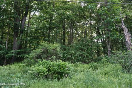 Wagner Way, Pocono Lake, Пенсильвания 18347, Соединенные Штаты