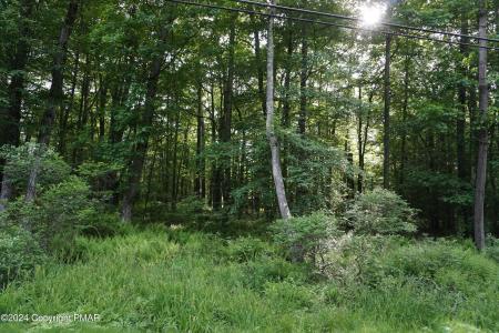 Wagner Way, Pocono Lake, Пенсильвания 18347, Соединенные Штаты