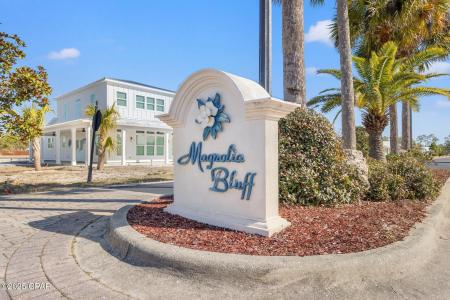 123 White Blossom Trail, Port St Joe, Flórida 32456, Estados Unidos