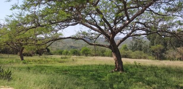 Nelspruit, Mpumalanga, Republika Południowej Afryki