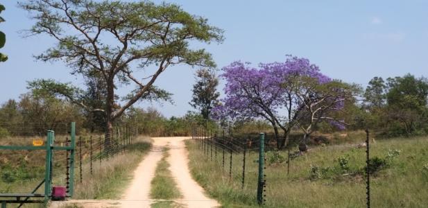 Nelspruit, Mpumalanga, Republika Południowej Afryki