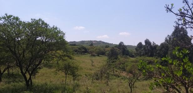 Nelspruit, Mpumalanga, Republika Południowej Afryki