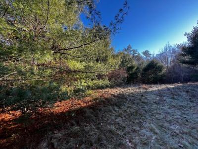 480 Wareham St., Middleboro, Massachusetts 02346, USA