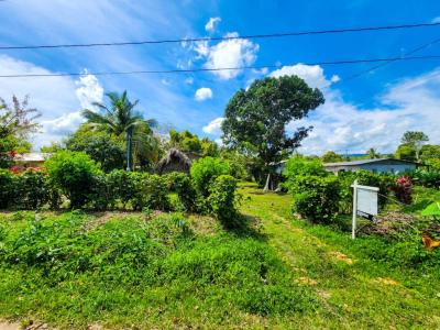 Maya Mopan, Georgetown , Stann Creek District, Stann Creek 00001, Belice
