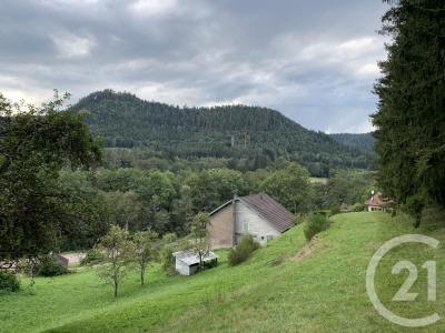 Taintrux, Lorraine 88100, France