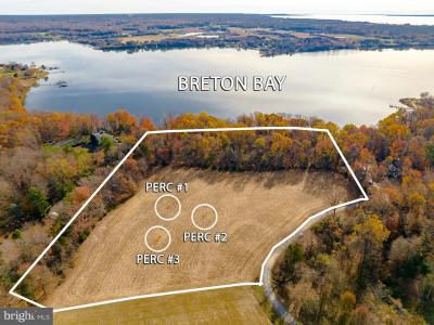Ferny Hills Lane, Leonardtown, 马里兰州 20650, 美国