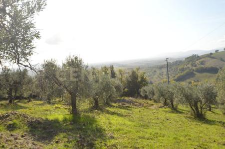 Roccastrada, Toscana 58036, İtalya