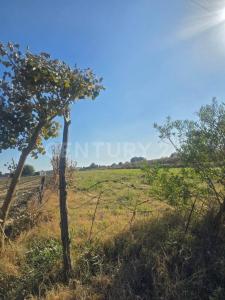 Parcela N 193 Z3 P1/2,, San Martín Texmelucan, Puebla 74129, Mexique