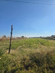 Parcela N 193 Z3 P1/2,, San Martín Texmelucan, Puebla 74129, Mexique