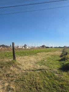 Parcela N 193 Z3 P1/2,, San Martín Texmelucan, Puebla 74129, Mexique