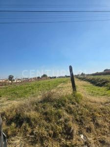 Parcela N 193 Z3 P1/2,, San Martín Texmelucan, Puebla 74129, Mexique