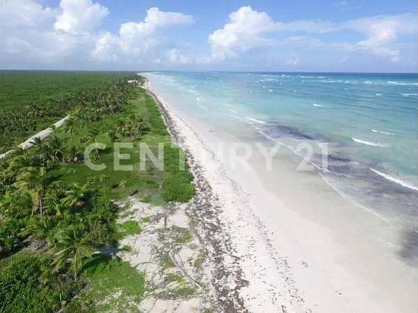 Othon P Blanco, Quintana Roo 77940, Mexico