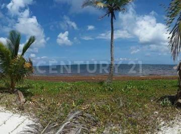 Othon P Blanco, Quintana Roo 77940, Mexico