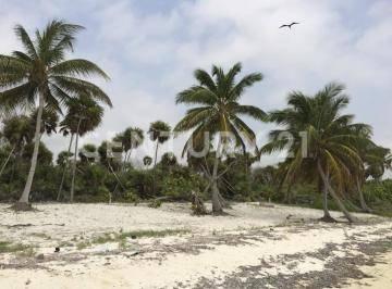 Othon P Blanco, Quintana Roo 77940, Mexico