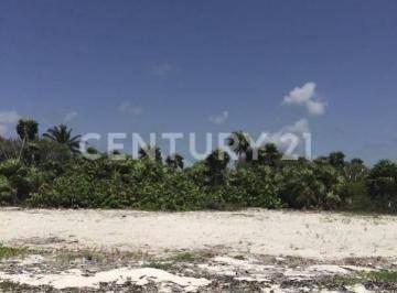 Othon P Blanco, Quintana Roo 77940, Mexico