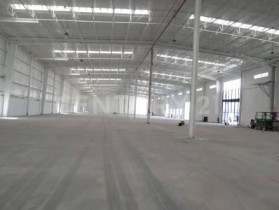 Ramos Arizpe, 科阿韋拉 25903, 墨西哥
