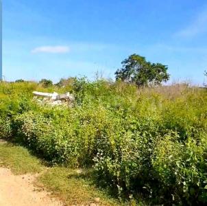 Temozon, Yucatan 97740, Mexique