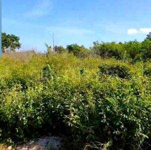 Temozon, Yucatan 97740, Mexique