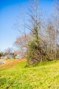 Lot 151 James River Road, Shipman, Virginia 22971, USA