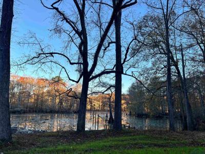 655 Lake Cooper Rd, Karnack, Texas 75661, Estados Unidos