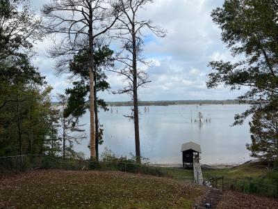 70  Springwood Ridge, Zwolle, Louisiana 71486, USA