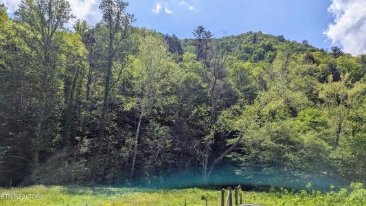 Carrs Creek Rd, Townsend, Tennessee 37882, USA