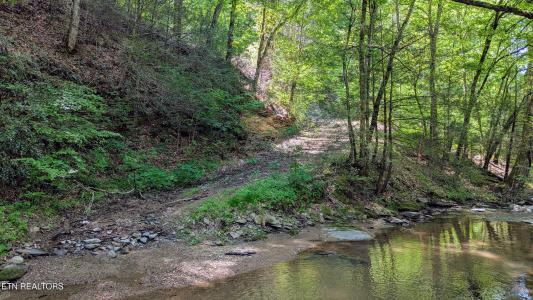 Carrs Creek Rd, Townsend, Tennessee 37882, USA
