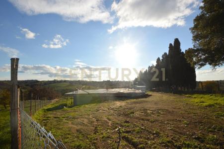 Magliano In Toscana, Toscana 58051, Italia