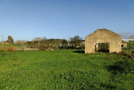 Anadia, Aveiro 3780-082, Portugal