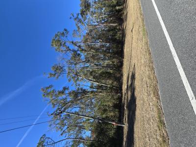 TBD NE Hwy 349, Old Town, Florida 32680