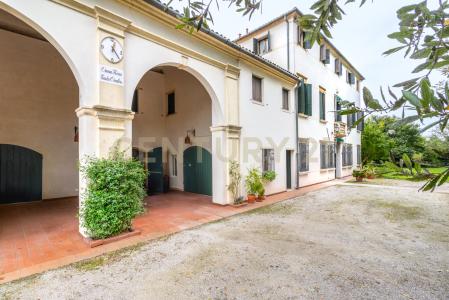 Via Barbariga Paluello, Stra, Veneto 30039, Italia