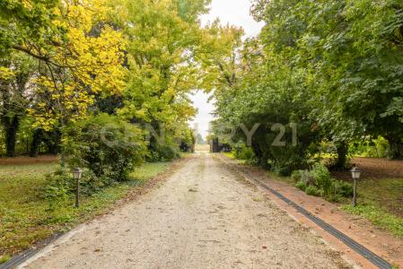 Via Barbariga Paluello, Stra, Veneto 30039, Italia