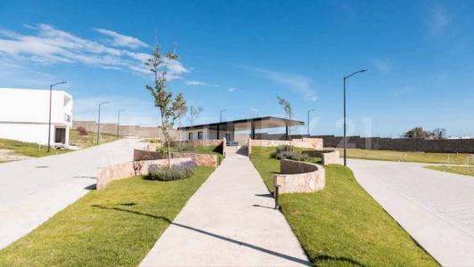 SAUCO REFUGIO NATURAL , HARAS CIUDAD ECOLÓGICA ,, Amozoc, Puebla 72998, México