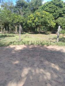 ypane , Ypané, Central 00001, Paraguai