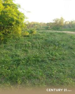 Barrio Naranjaisy a metros de la ruta Guarambare Villeta Lote 1 y Lote 2, Villeta, Central 00001, باراغواي