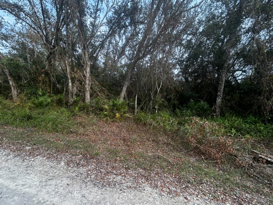 6330 Mike Lane, Webster, Floryda 33597, USA