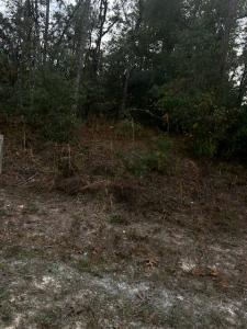 6330 Mike Lane, Webster, Floryda 33597, USA