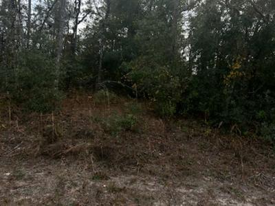 6330 Mike Lane, Webster, Floryda 33597, USA
