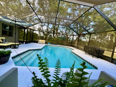 19831 SW Nightingale Drive, Dunnellon, Floride 34431, États-Unis