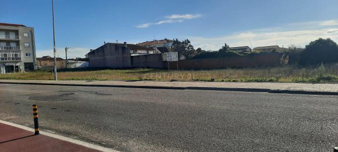 Vagos, Aveiro 3840-239, Portugal