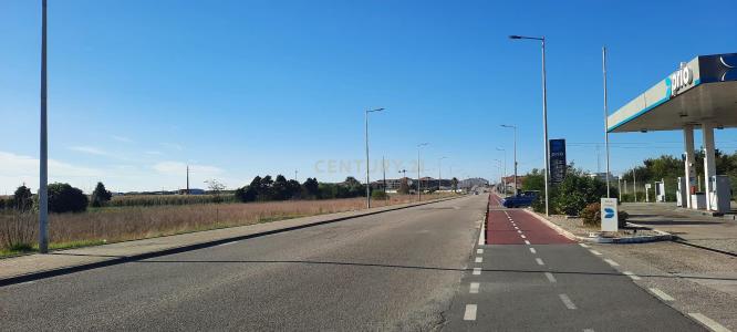 Vagos, Aveiro 3840-239, Portugal